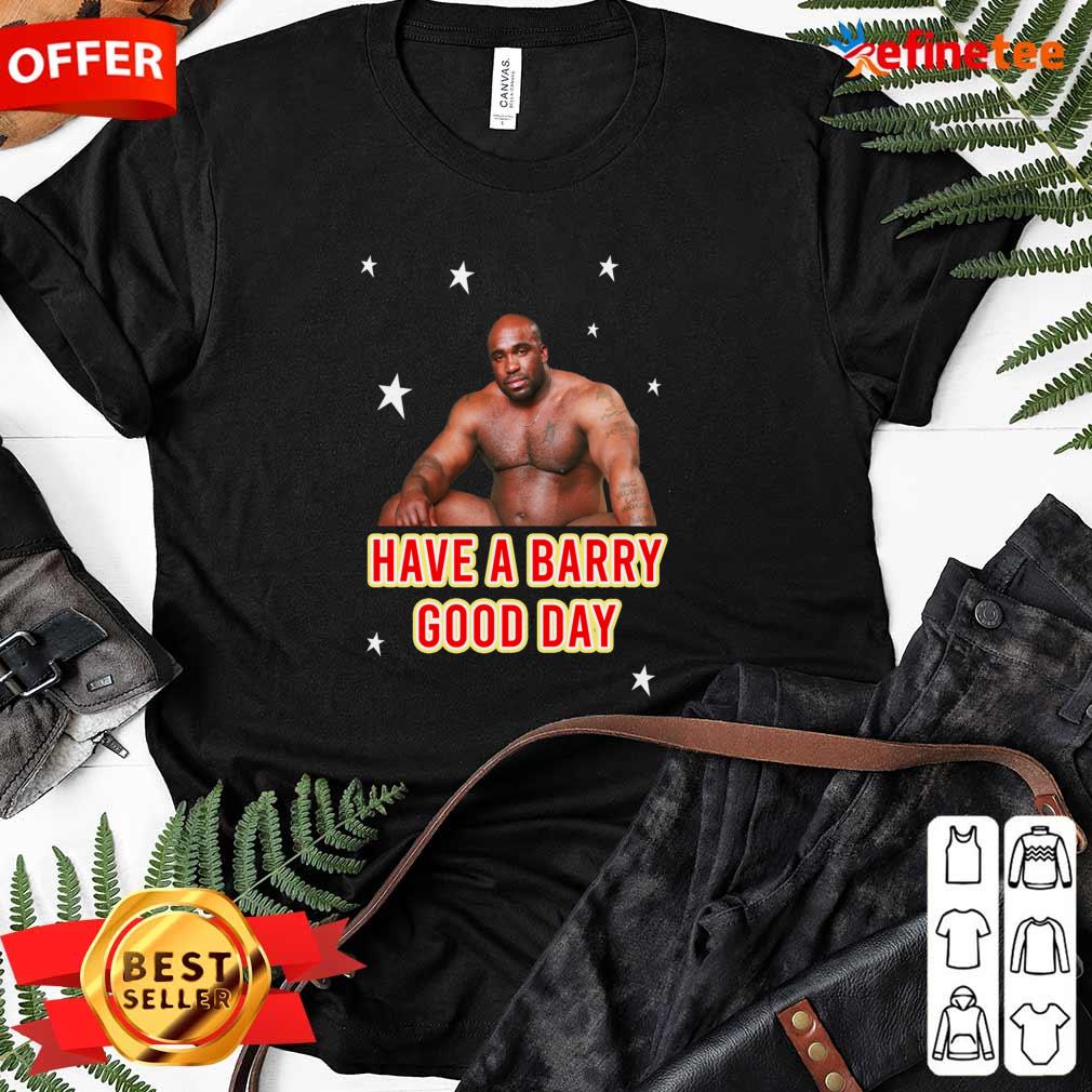 Fantastic Barry Wood Have A Barry Good Day Ladies-tee Barry Wood Have A Barry Good Day Ladies-tee
