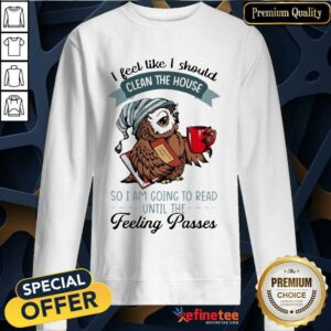 Original Owl I Feel Like I Should Clean House Pass 5 Sweatshirt