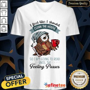 Original Owl I Feel Like I Should Clean House Pass 5 V-neck