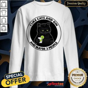 Hot I Like Cat And Gin And Maybe 3 People Sweatshirt