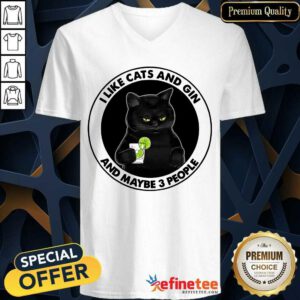 Hot I Like Cat And Gin And Maybe 3 People V-neck