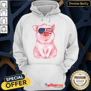 Pig American Flag Independence Day Hoodie