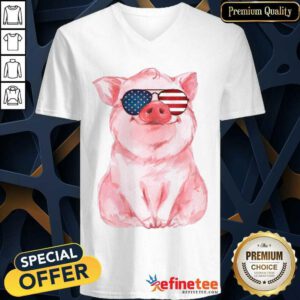 Pig American Flag Independence Day V-neck