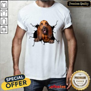 I Love Bloodhound Shirt