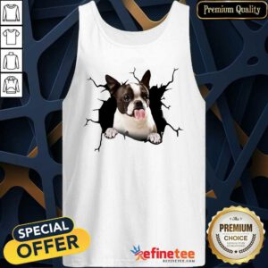 I Love Boston Terrier Tank Top