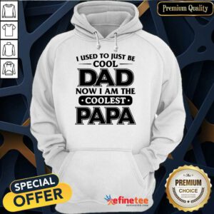 I Used To Just Be Cool Dad Hoodie