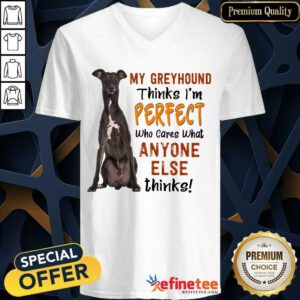 My Greyhound Thinks I'm Perfect V-neck
