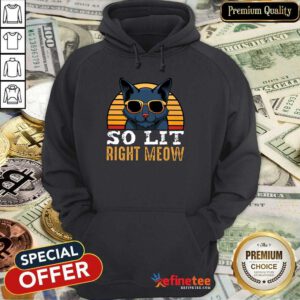 Cat So Lit Right Meow Vintage Hoodie