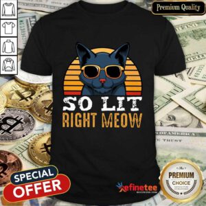 Cat So Lit Right Meow Vintage Shirt
