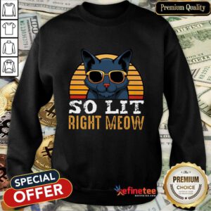 Cat So Lit Right Meow Vintage Sweatshirt