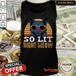 Cat So Lit Right Meow Vintage Tank Top