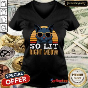 Cat So Lit Right Meow Vintage V-neck