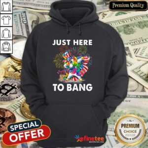 Unicorn Just Here To Bang Hoodie