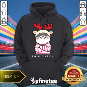 Awesome Cute Cozy Kitty Cat Reindeer Christmas Hoodie