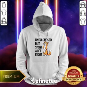 Funny Undiagnosed But Something Ain't Right Funny Cat Saying Meme Hoodie