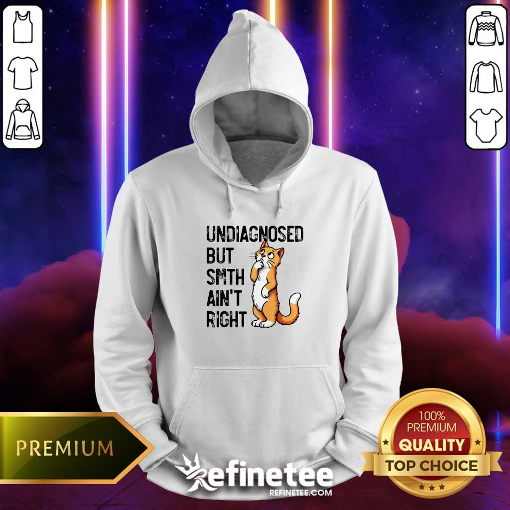 Funny Undiagnosed But Something Ain't Right Funny Cat Saying Meme Hoodie