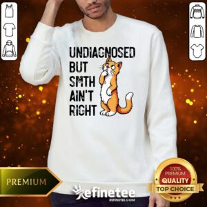 Funny Undiagnosed But Something Ain't Right Funny Cat Saying Meme Sweater