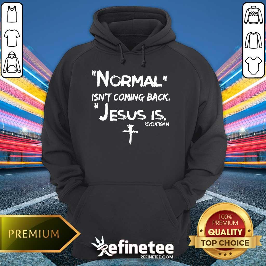 Pretty Normal Isn't Coming Back Jesus Is Hoodie