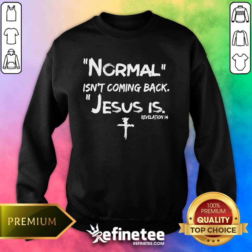 Pretty Normal Isn't Coming Back Jesus Is Sweater