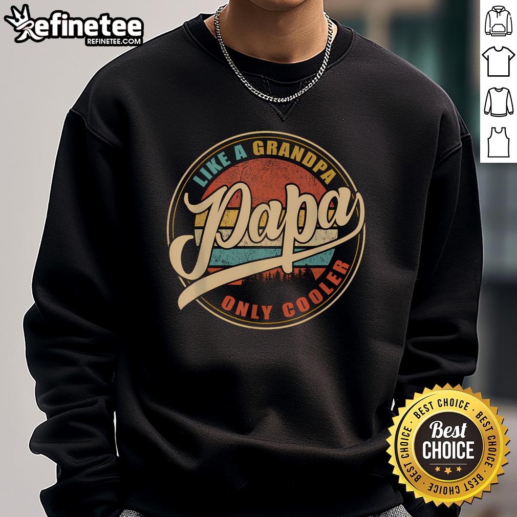 Vintage sweatshirt featuring 'Funny Papa: Like a Grandpa, Only Cooler' definition, perfect for cool dads and grandpas.