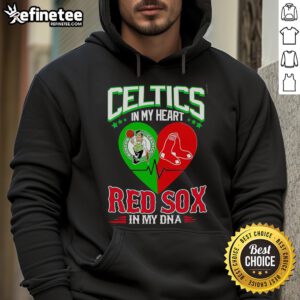 Official Celtics In My Heart Red Sox In My DNA Hoodie featuring vibrant team colors and logo, perfect for fans.