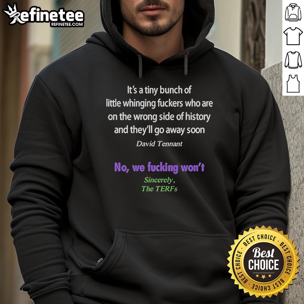 Alt Text: David Tennant hoodie with 'Its A Tiny Bunch Of Little Whinging Fckers' design, perfect for fans of humorous apparel.
