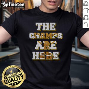 Funny USA Basketball Championship T-Shirt featuring 'The Champs Are Here' design for sports fans and basketball lovers.