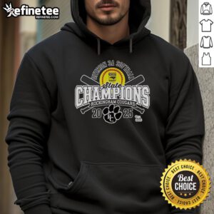 Alt Text: Official Rockingham County Cougars 2025 NCHSAA Women's 3A Softball State Champions Hoodie displayed on a hanger.
