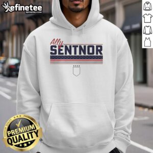 Alt Text: Top Ally Sentnor Stripe USWNTPA Hoodie in stylish design, perfect for casual wear and sports enthusiasts.