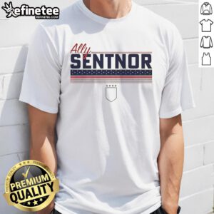 Top Ally Sentnor Stripe USWNTPA T-Shirt featuring a stylish design for soccer fans supporting the US Women's National Team.