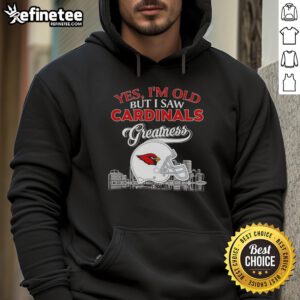 Vintage St. Louis Cardinals hoodie featuring skyline and helmet design, celebrating team greatness and nostalgia.