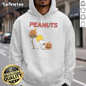 Pretty RSQ x Peanuts Pumpkins Hoodie featuring colorful pumpkin graphics, perfect for autumn fashion and Peanuts fans.