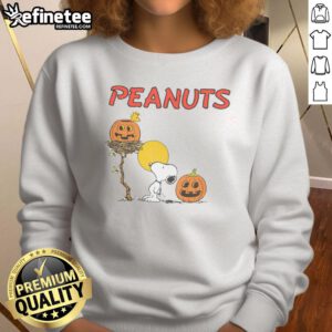 Pretty RSQ x Peanuts pumpkins sweatshirt featuring vibrant colors and fun Peanuts characters in a cozy design.