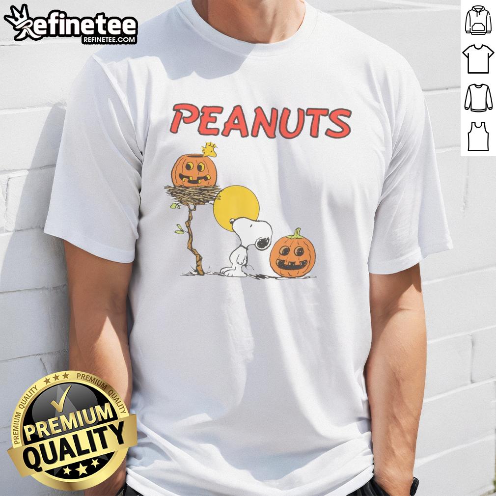Alt Text: Pretty Rsq X Peanuts Pumpkins T-Shirt featuring a cute pumpkin design with Peanuts characters for a stylish fall look.