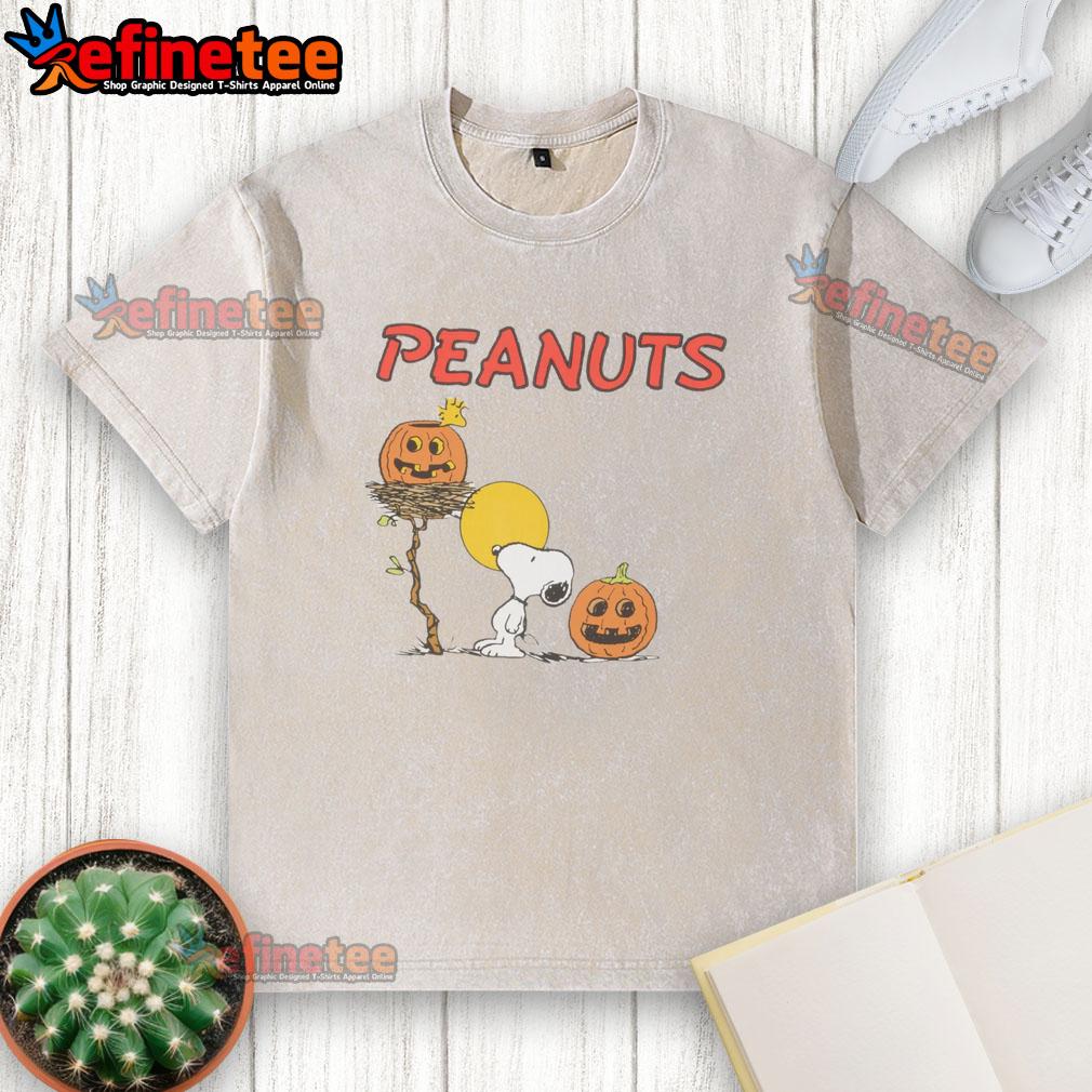 Pretty RSQ x Peanuts pumpkins washed t-shirt featuring a vibrant graphic design perfect for fall fashion.