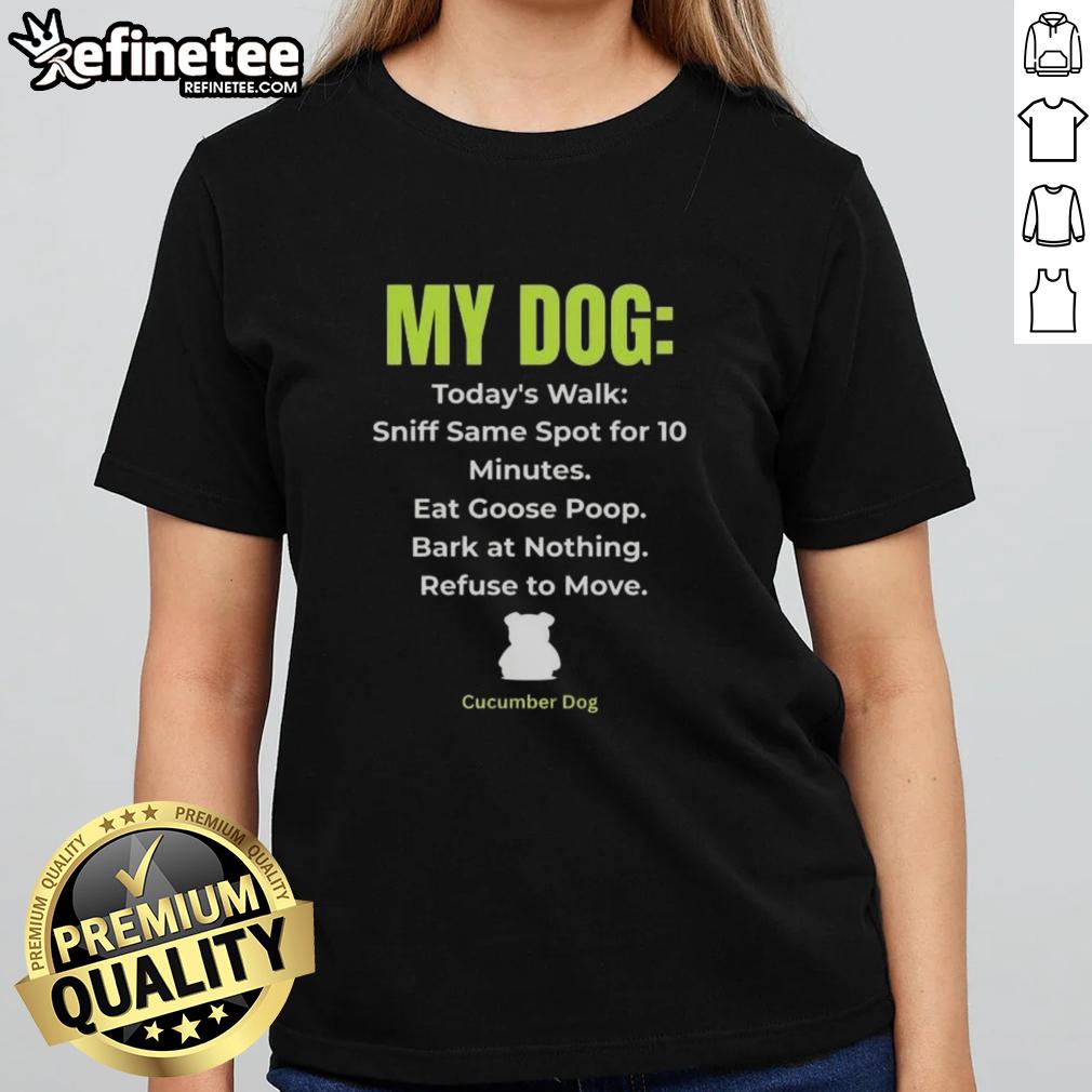Premium My Dog Schedule Ladies Tee featuring a stylish design for dog lovers, perfect for casual outfits.