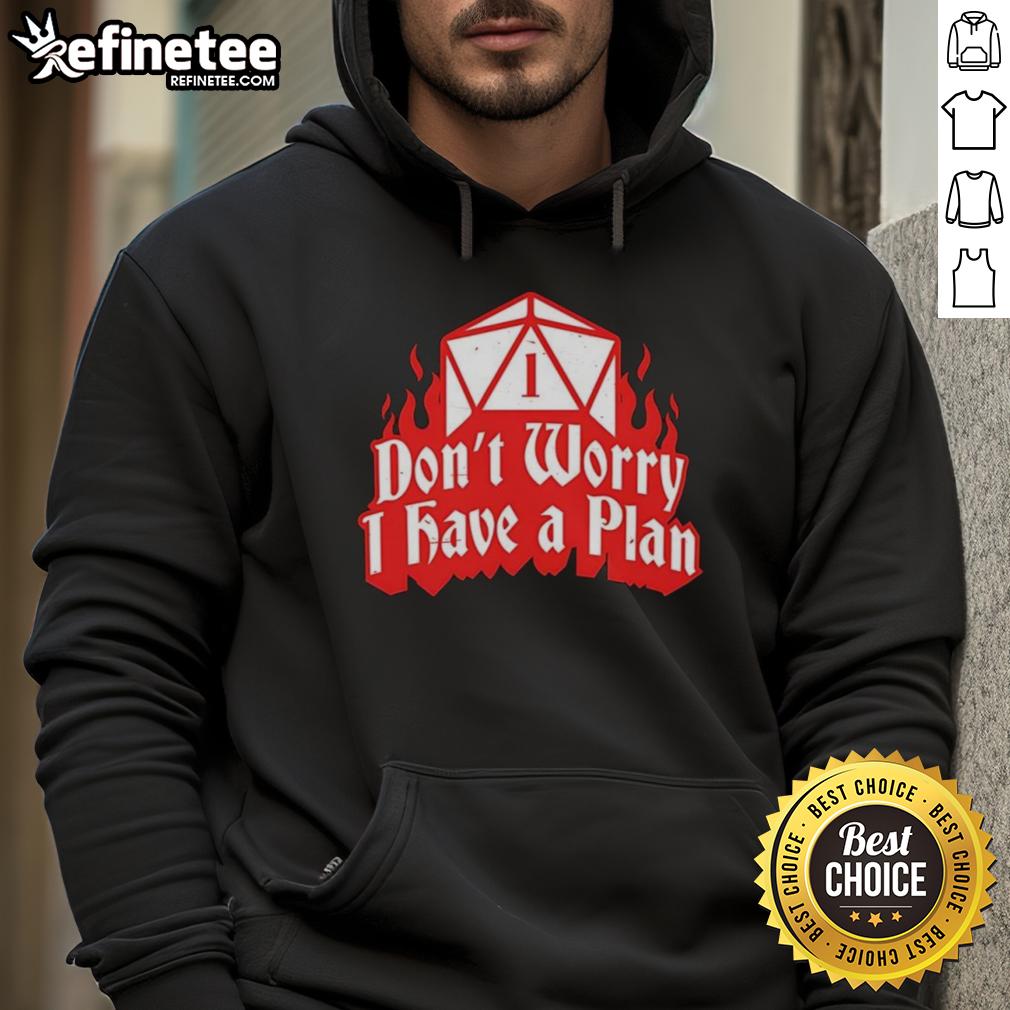 Alt Text: Cozy hoodie featuring 'Don't Worry, I Have A Plan' design, perfect for Dungeons and Dragons fans.
