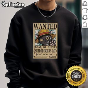 Cozy top Schrdinger Cat pirate sweatshirt featuring a whimsical design of a cat in a pirate hat on a vibrant background.