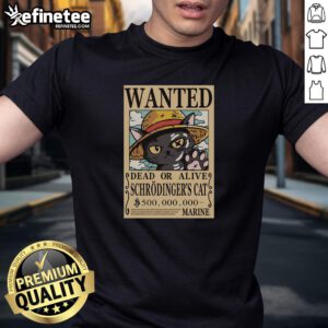 Alt Text: Top Schrdinger Cat Pirate T-Shirt featuring a whimsical design of a pirate cat in a treasure chest.